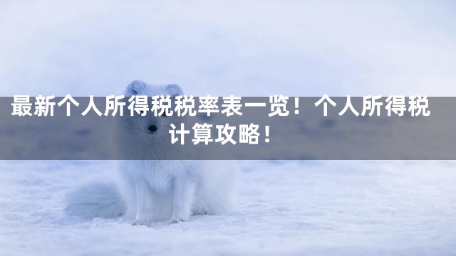 最新个人所得税税率表一览！个人所得税计算攻略！