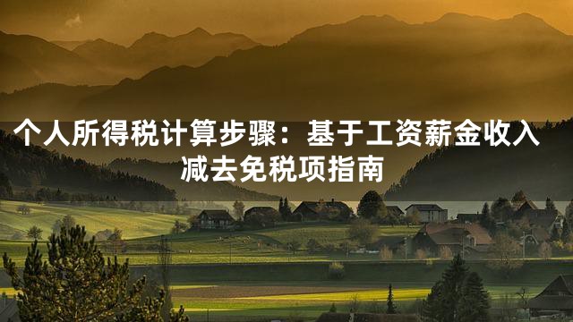 个人所得税计算步骤：基于工资薪金收入减去免税项指南