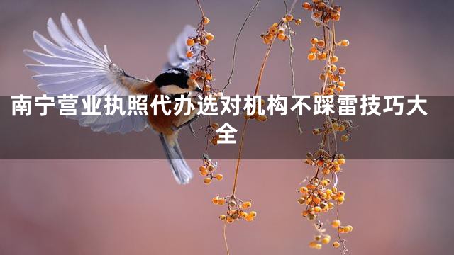南宁营业执照代办选对机构不踩雷技巧大全