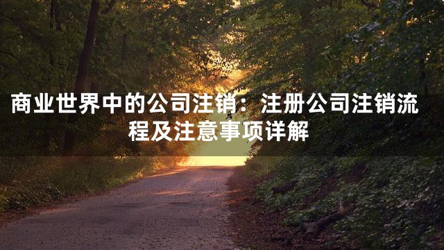 商业世界中的公司注销：注册公司注销流程及注意事项详解