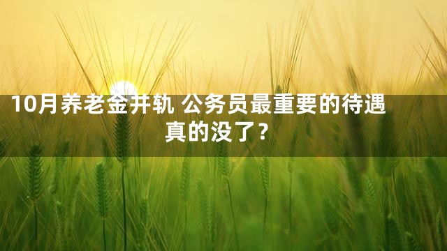 10月养老金并轨 公务员最重要的待遇真的没了？