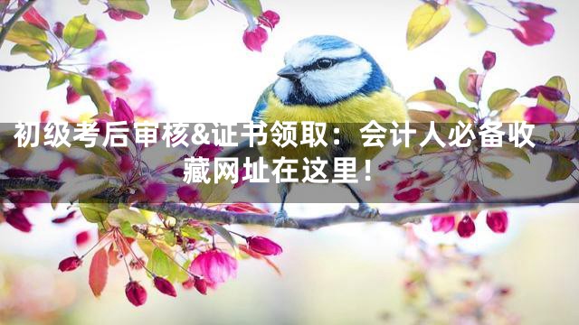 初级考后审核&证书领取：会计人必备收藏网址在这里！