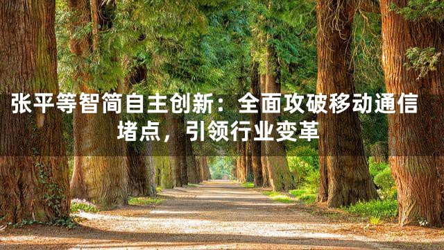 张平等智简自主创新：全面攻破移动通信堵点，引领行业变革