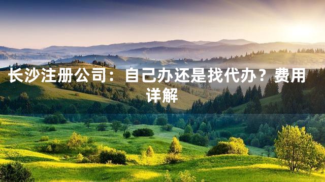 长沙注册公司：自己办还是找代办？费用详解
