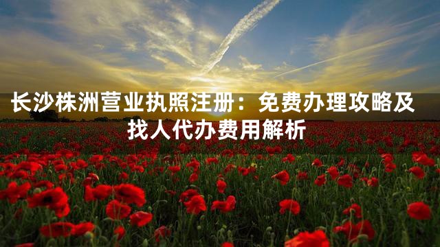 长沙株洲营业执照注册：免费办理攻略及找人代办费用解析