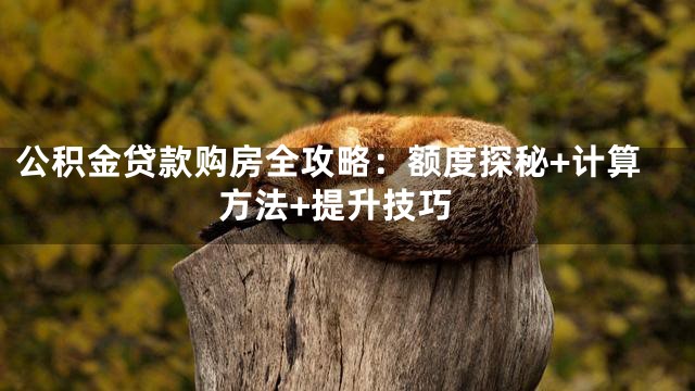 公积金贷款购房全攻略：额度探秘+计算方法+提升技巧