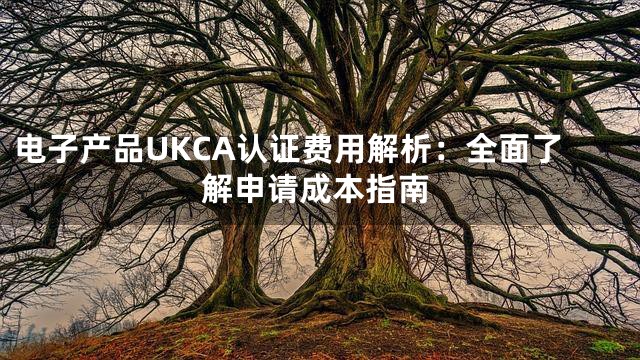 电子产品UKCA认证费用解析：全面了解申请成本指南