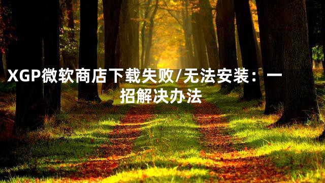 XGP微软商店下载失败/无法安装：一招解决办法
