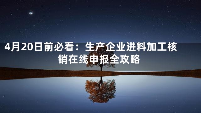 4月20日前必看：生产企业进料加工核销在线申报全攻略