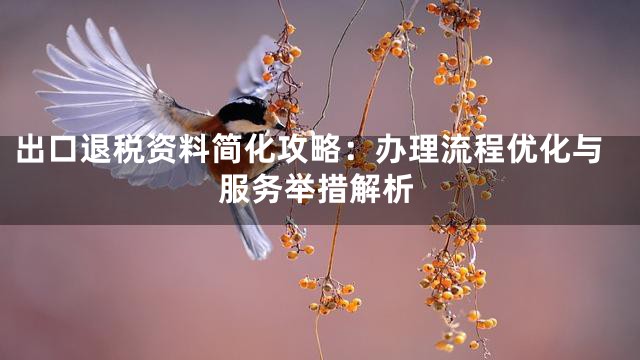 出口退税资料简化攻略：办理流程优化与服务举措解析