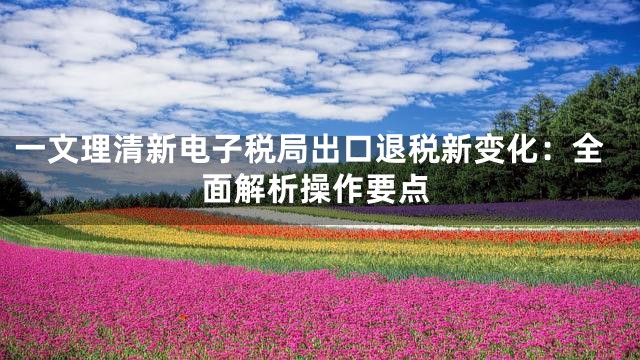 一文理清新电子税局出口退税新变化：全面解析操作要点