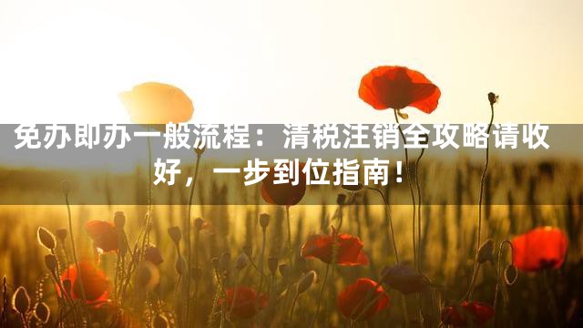 免办即办一般流程：清税注销全攻略请收好，一步到位指南！