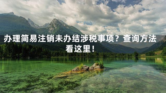 办理简易注销未办结涉税事项？查询方法看这里！