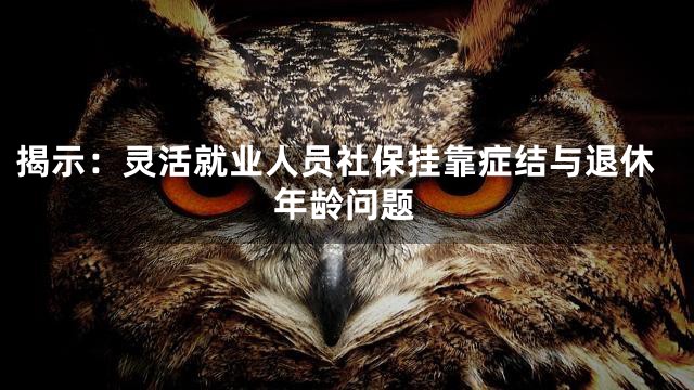揭示：灵活就业人员社保挂靠症结与退休年龄问题