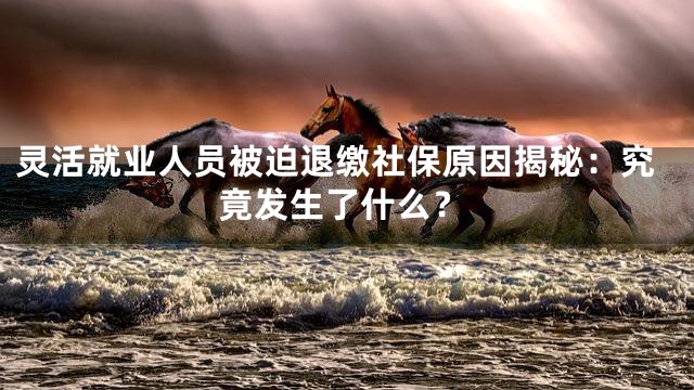 灵活就业人员被迫退缴社保原因揭秘：究竟发生了什么？
