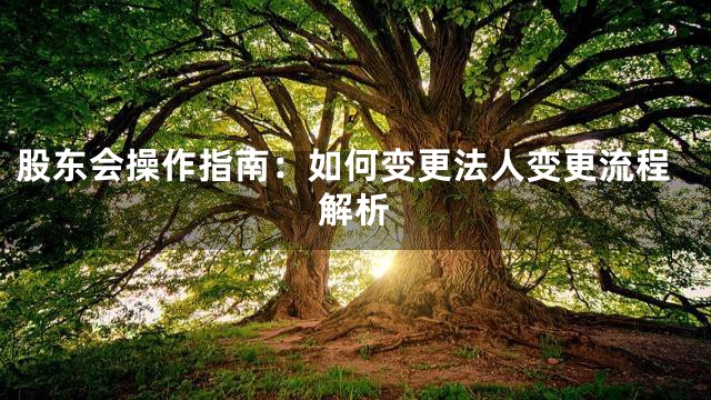 股东会操作指南：如何变更法人变更流程解析