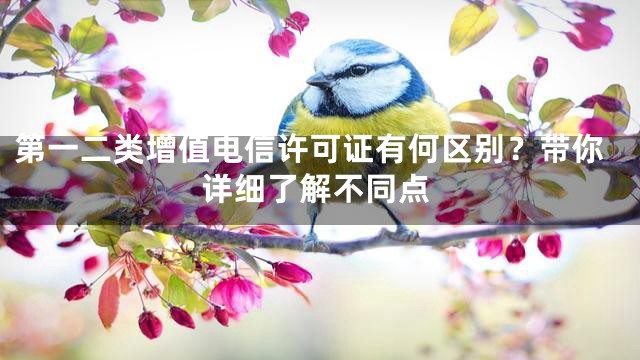第一二类增值电信许可证有何区别？带你详细了解不同点