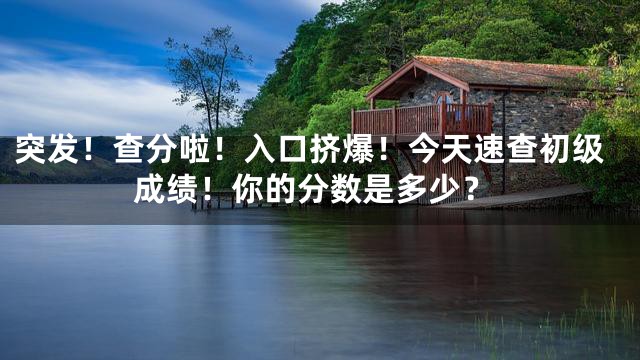 突发！查分啦！入口挤爆！今天速查初级成绩！你的分数是多少？