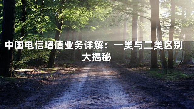 中国电信增值业务详解：一类与二类区别大揭秘