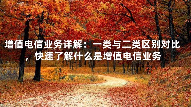 增值电信业务详解：一类与二类区别对比，快速了解什么是增值电信业务