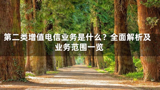 第二类增值电信业务是什么？全面解析及业务范围一览