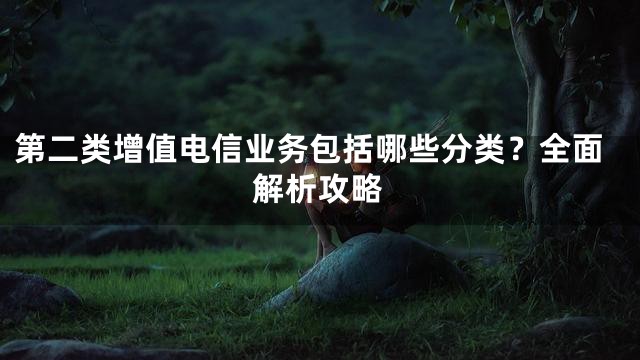 第二类增值电信业务包括哪些分类？全面解析攻略