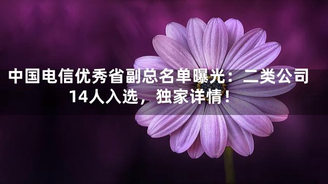 中国电信优秀省副总名单曝光：二类公司14人入选，独家详情！