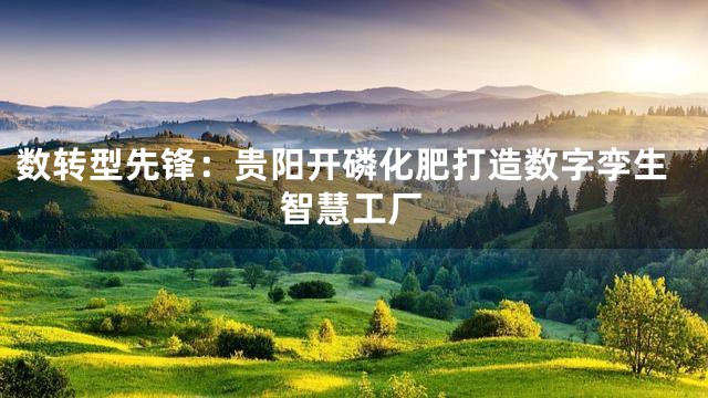 数转型先锋：贵阳开磷化肥打造数字孪生智慧工厂