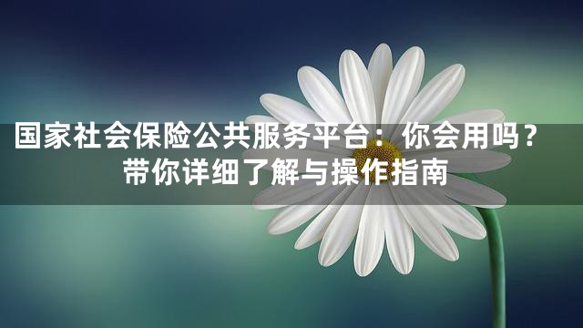 国家社会保险公共服务平台：你会用吗？带你详细了解与操作指南