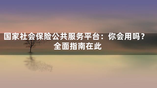 国家社会保险公共服务平台：你会用吗？全面指南在此