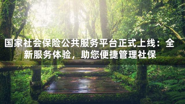 国家社会保险公共服务平台正式上线：全新服务体验，助您便捷管理社保