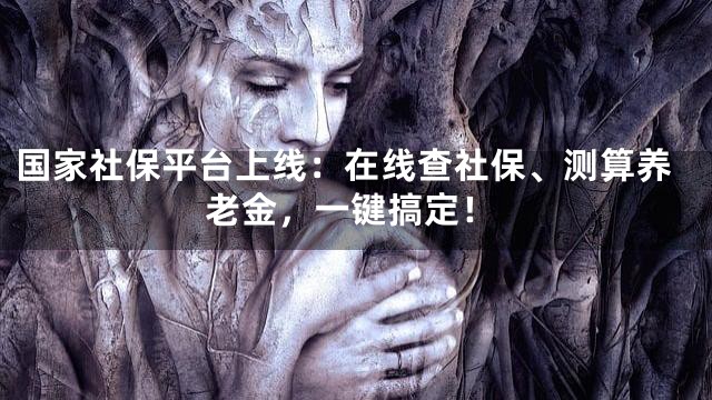 国家社保平台上线：在线查社保、测算养老金，一键搞定！