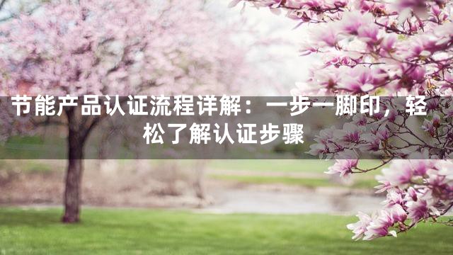 节能产品认证流程详解：一步一脚印，轻松了解认证步骤
