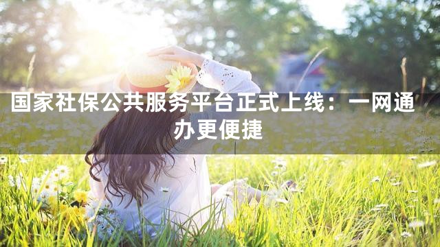 国家社保公共服务平台正式上线：一网通办更便捷