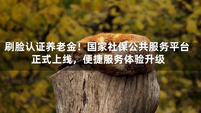 刷脸认证养老金！国家社保公共服务平台正式上线，便捷服务体验升级