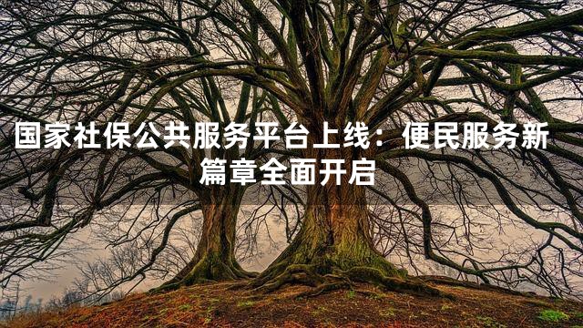国家社保公共服务平台上线：便民服务新篇章全面开启