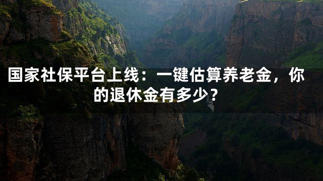 国家社保平台上线：一键估算养老金，你的退休金有多少？