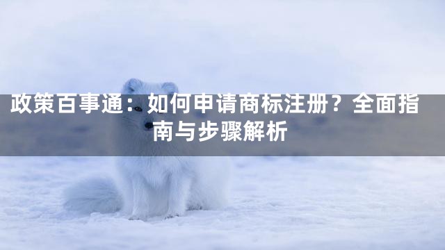 政策百事通：如何申请商标注册？全面指南与步骤解析