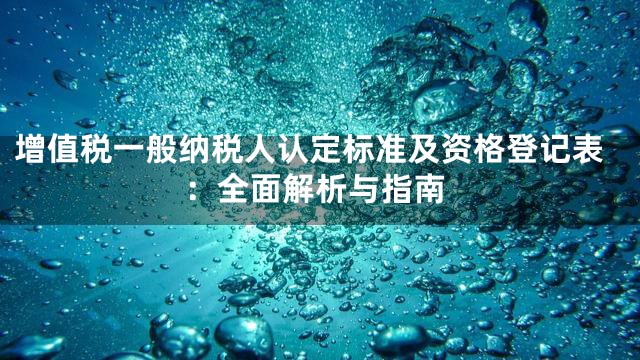 增值税一般纳税人认定标准及资格登记表：全面解析与指南
