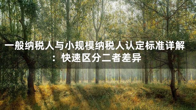 一般纳税人与小规模纳税人认定标准详解：快速区分二者差异