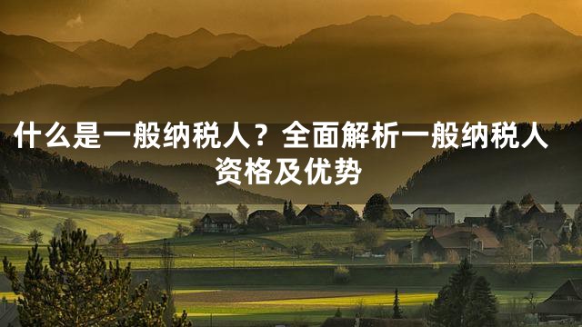 什么是一般纳税人？全面解析一般纳税人资格及优势