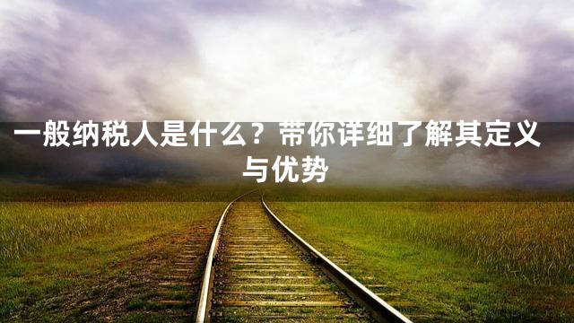一般纳税人是什么？带你详细了解其定义与优势