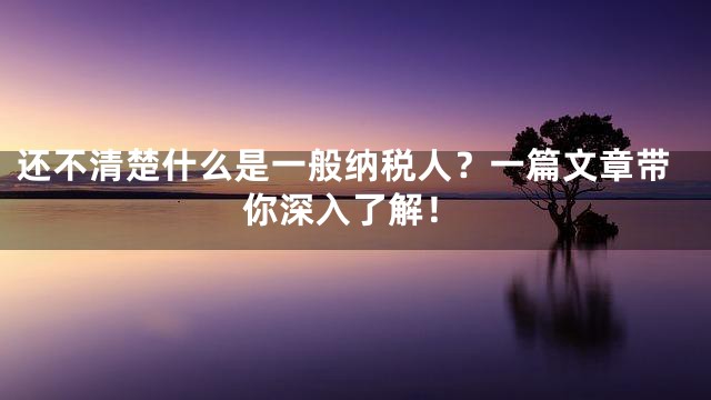 还不清楚什么是一般纳税人？一篇文章带你深入了解！