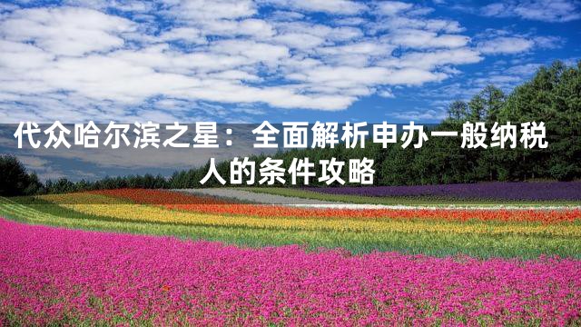 代众哈尔滨之星：全面解析申办一般纳税人的条件攻略