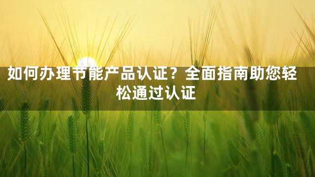 如何办理节能产品认证？全面指南助您轻松通过认证