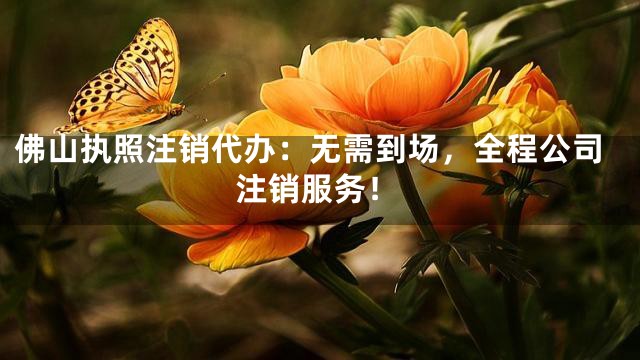 佛山执照注销代办：无需到场，全程公司注销服务！