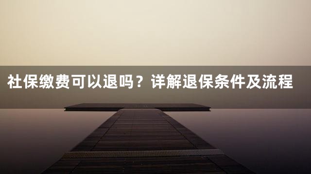 社保缴费可以退吗？详解退保条件及流程