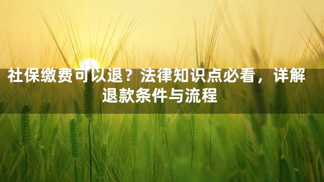 社保缴费可以退？法律知识点必看，详解退款条件与流程