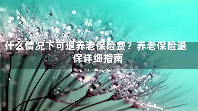什么情况下可退养老保险费？养老保险退保详细指南