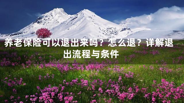 养老保险可以退出来吗？怎么退？详解退出流程与条件